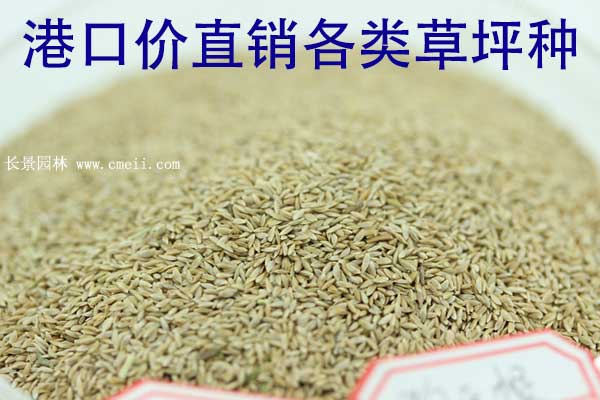 草坪圖片 草坪圖片